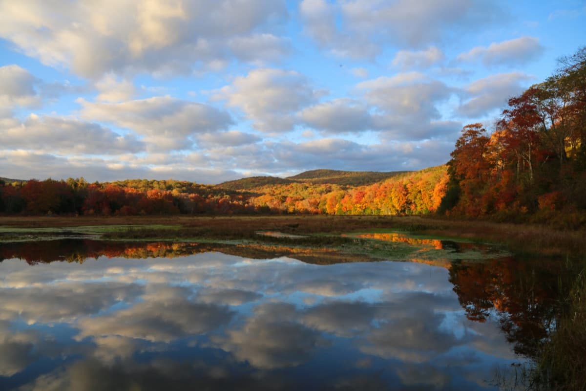 Escape Brooklyn: A Guide to Livingston Manor, NY