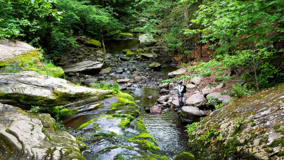The New York Times: 36 Hours in the Catskills, N.Y.